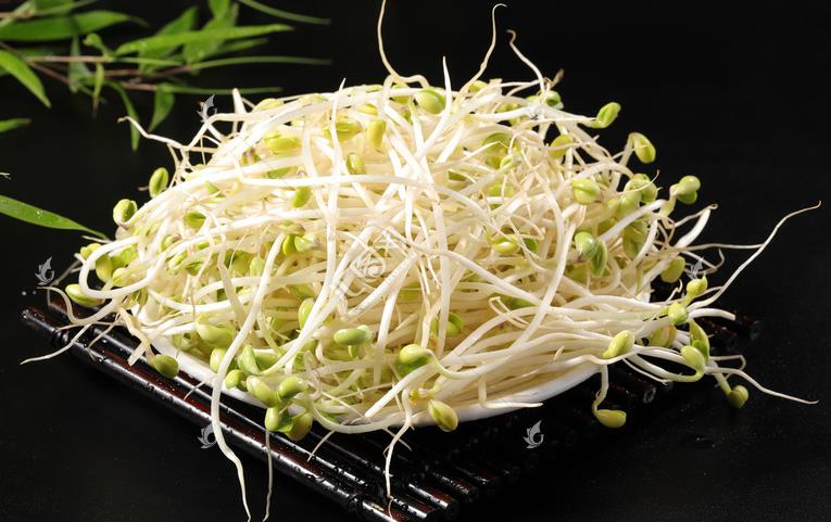 無(wú)公害綠色豆芽，怎么生產(chǎn)出來(lái)的？全套生產(chǎn)過程如此方便智能